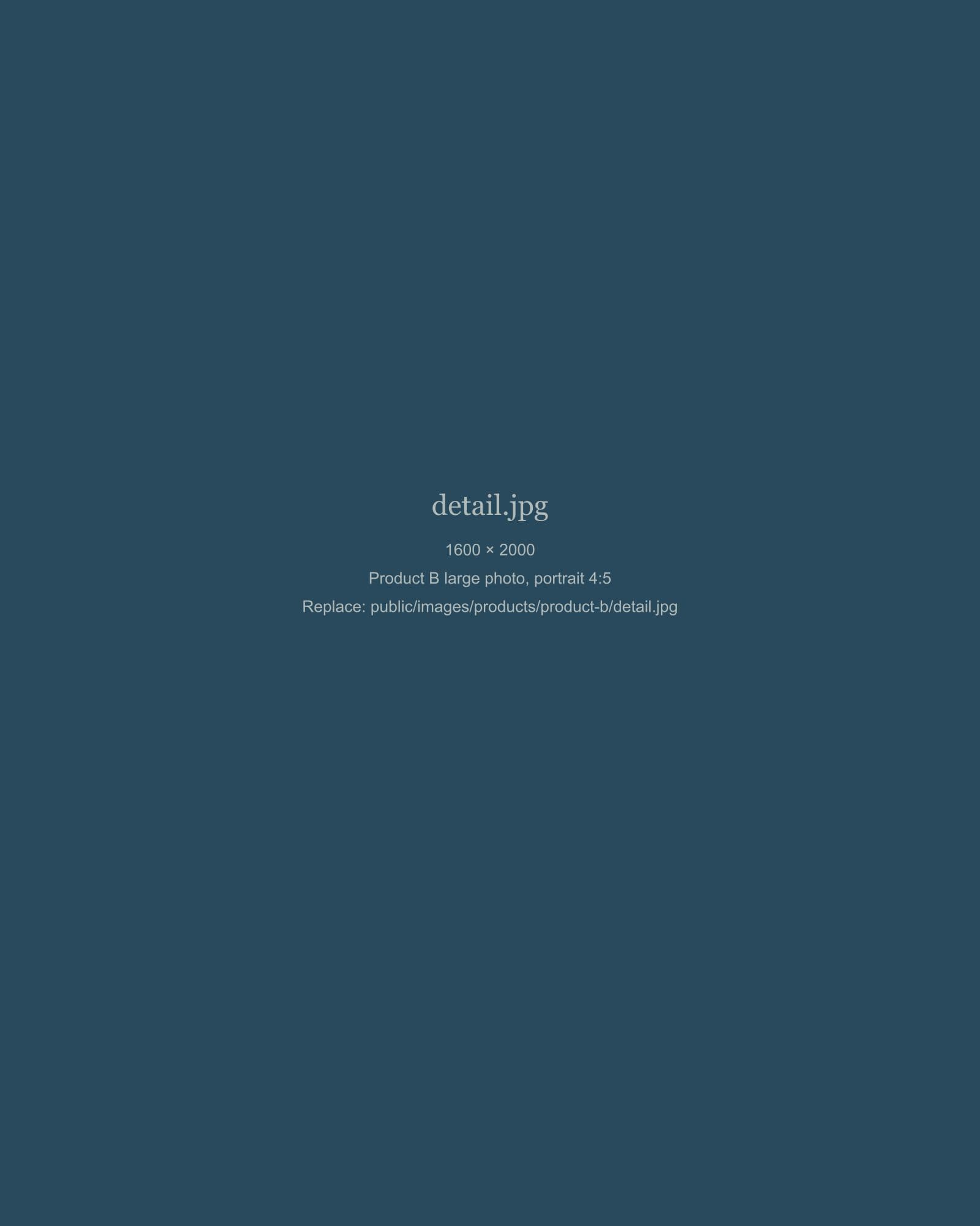 [TODO: large photo of product B]